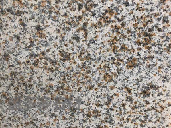 黃(huang)繡石荔(li)枝面